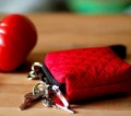 3058-etui_red_czerwony_3_lullalove_lifestyle.jpg